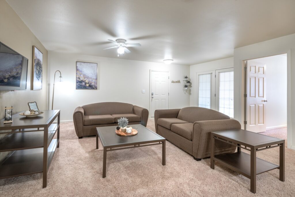 Living room with sofas and tables